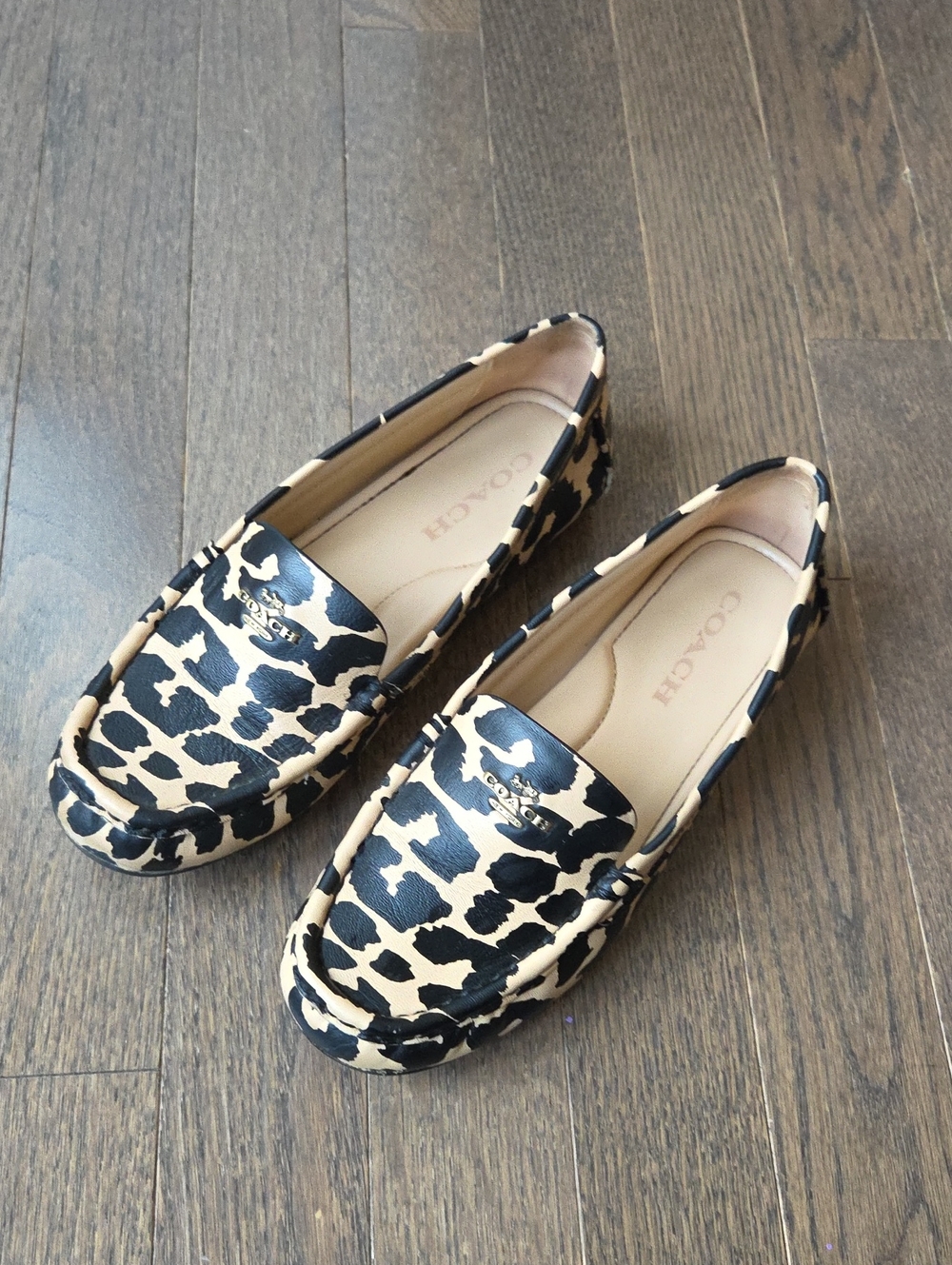 COACH Leopard-Print Leather Driving Loafers in Black and Beige